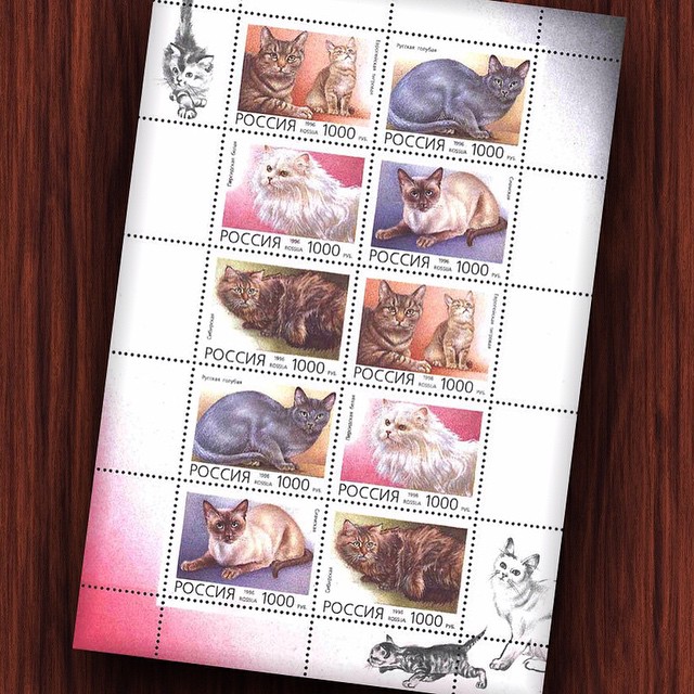 Всемирный День кошек на Почтовой марке
